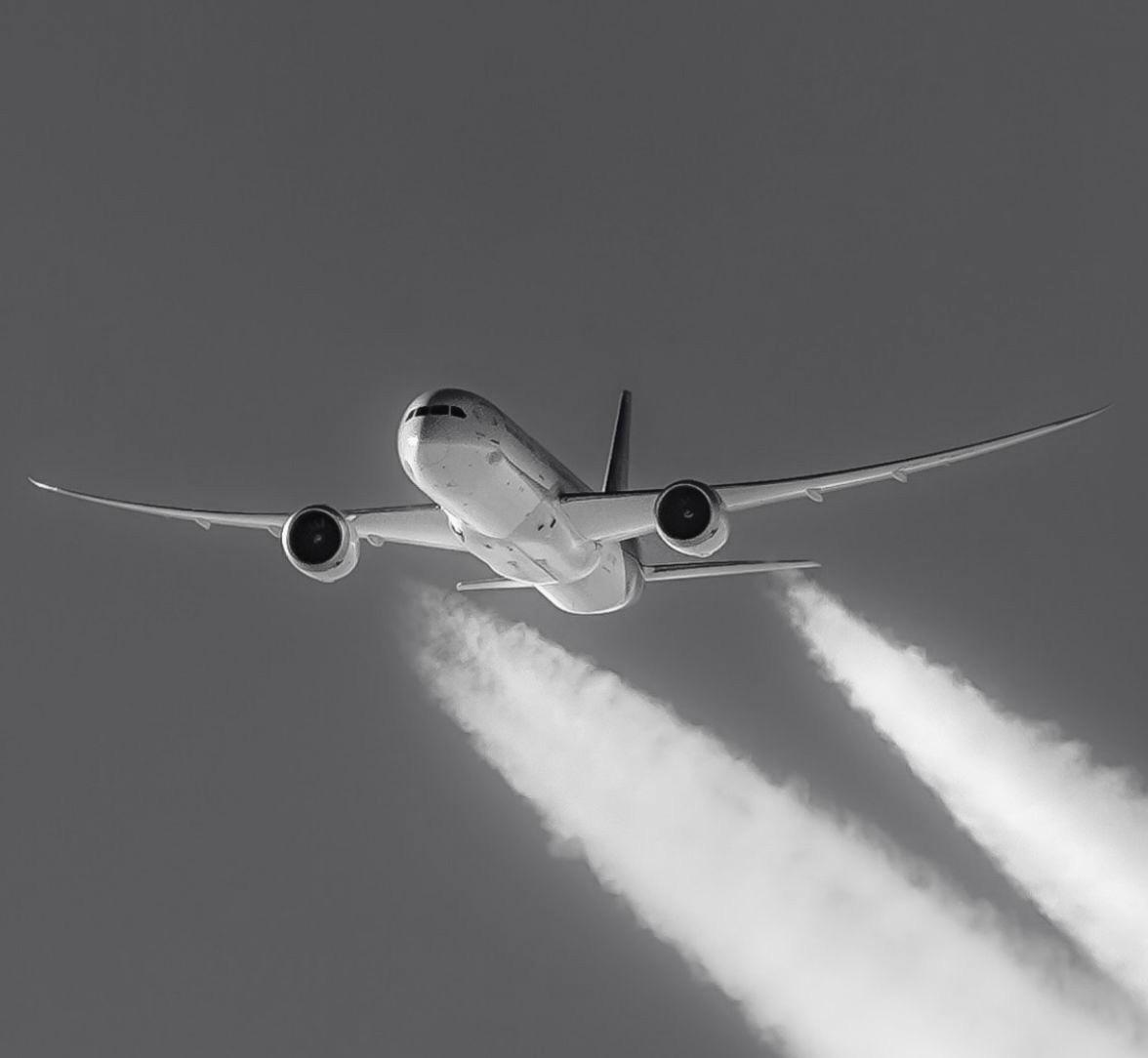 Boeing 787 Dreamliner in flight